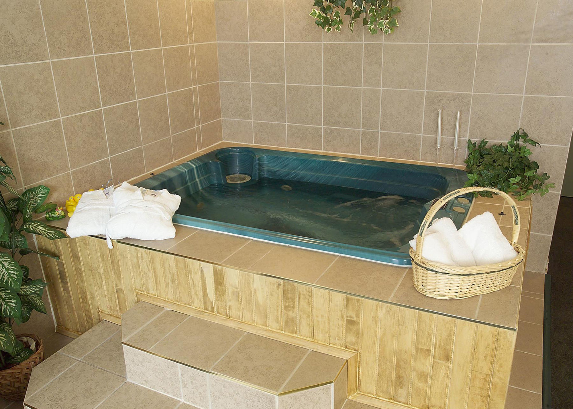 Quality Inn & Suites Bathurst Exteriör bild