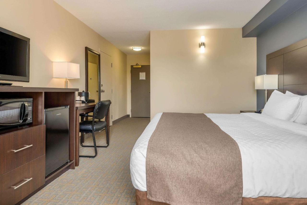 Quality Inn & Suites Bathurst Exteriör bild